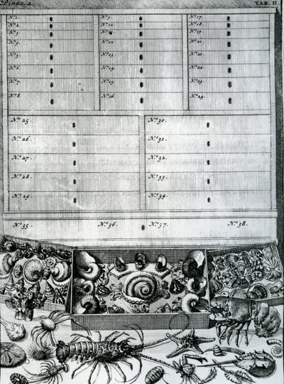 Table II from 